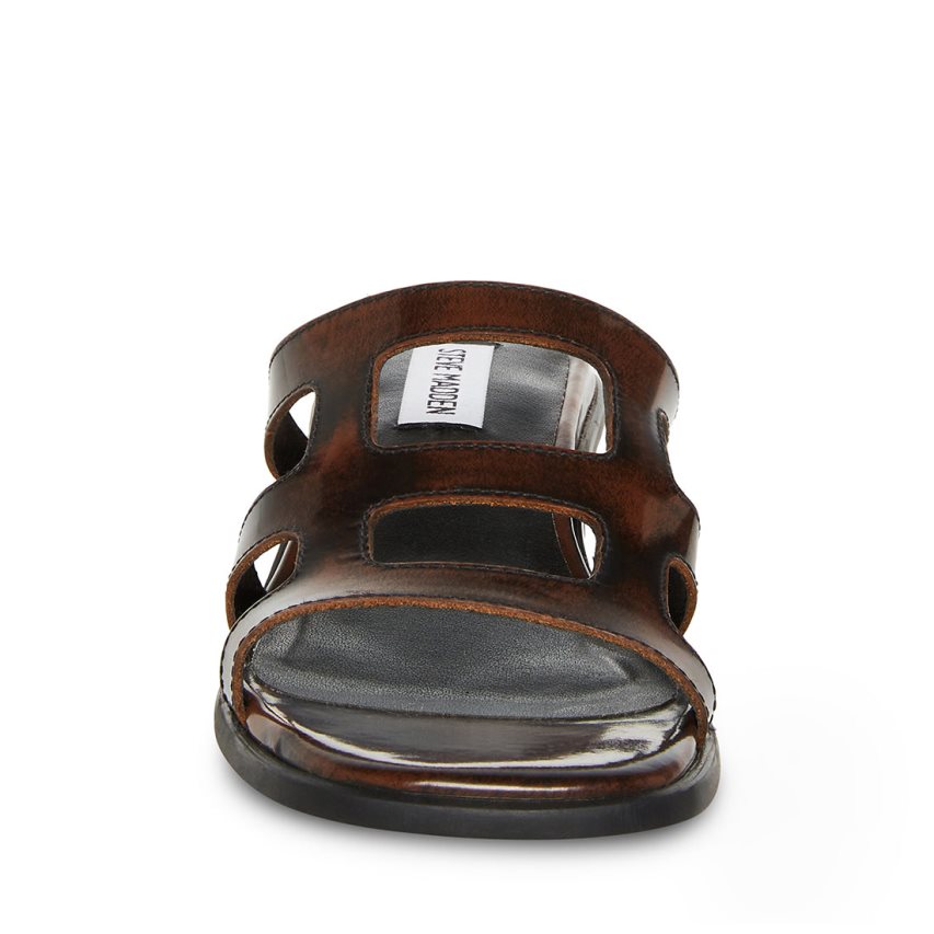 Dark Brown Steve Madden Princess Leather Women's Mules | PH 8036MZN